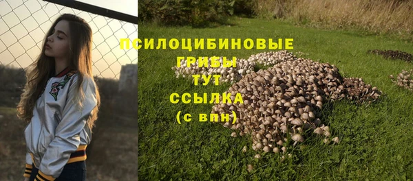 эйфоретик Лагань