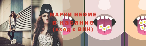 индика Вязники