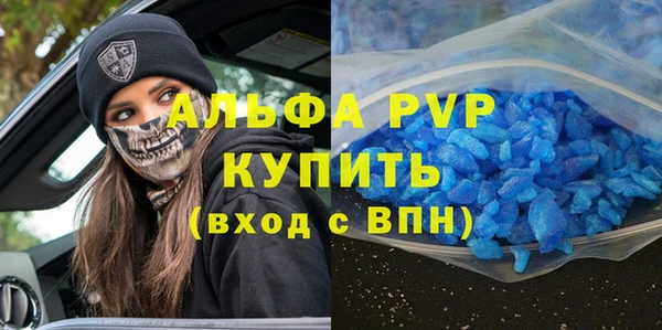 сатива Вяземский