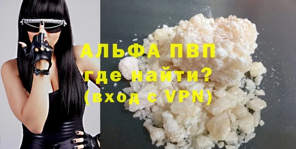 индика Вязники