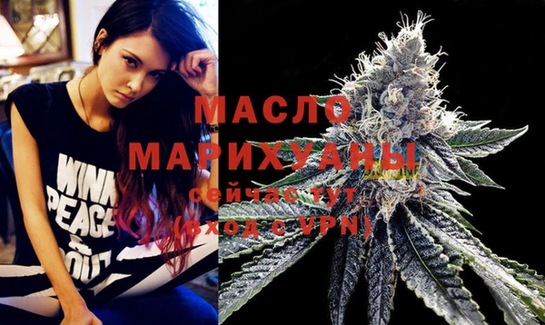 индика Вязники
