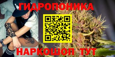амф Гусев