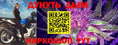 шишки Абакан