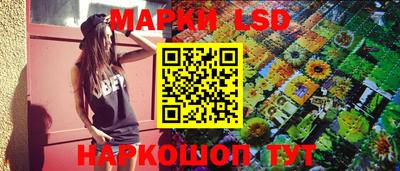 амф Гусев